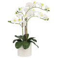 Artificial Orchid 67cm in Ribbed Pot - Realistic, Low Maintenance Decor - SuperSaverAU - view 1