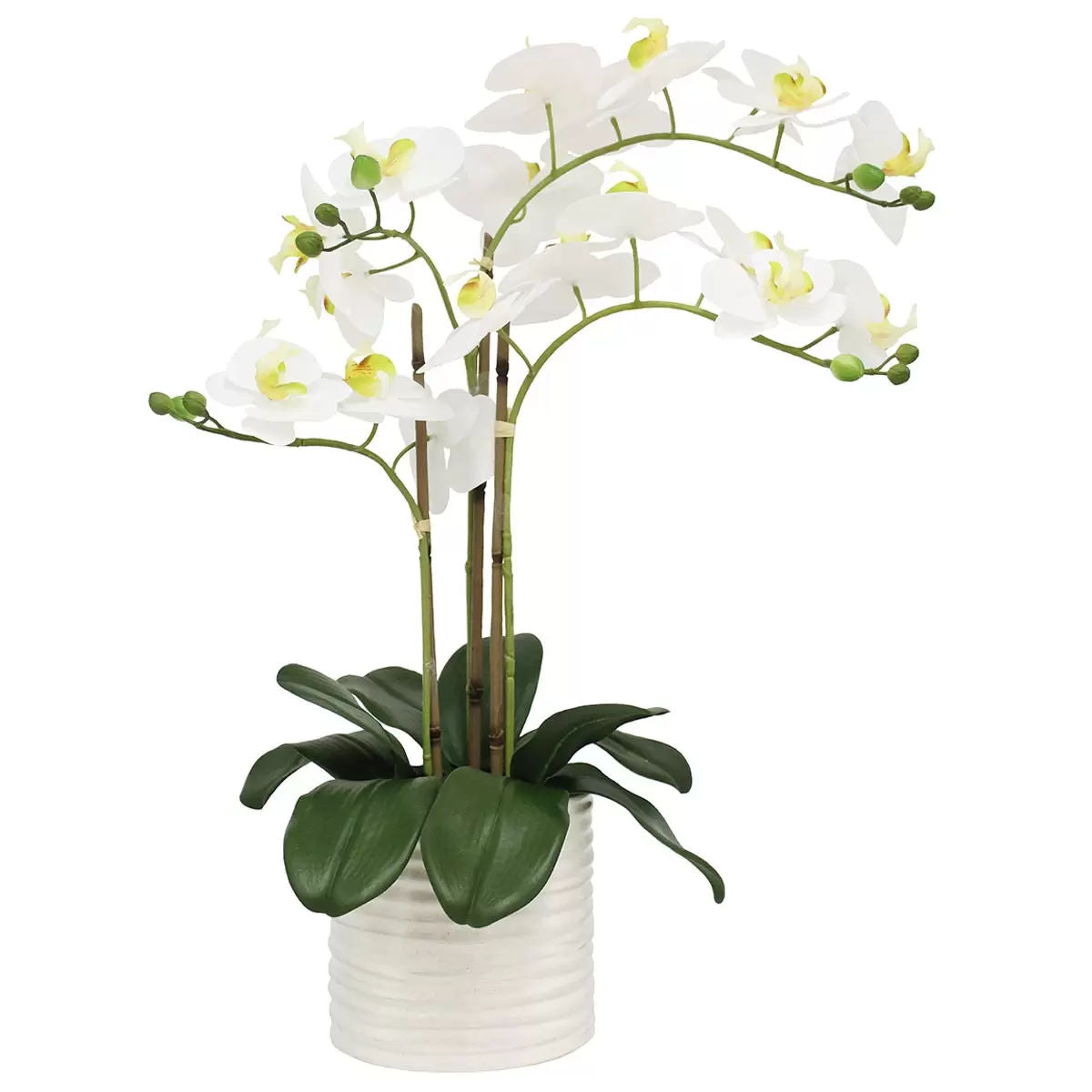 Artificial Orchid 67cm in Ribbed Pot - Realistic, Low Maintenance Decor - SuperSaverAU - view 1