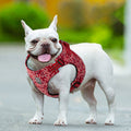 Premium Red Floral Reflective Dog Harness Size 3XS