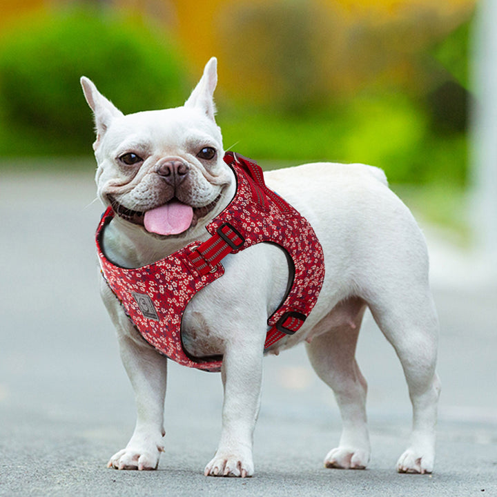Premium Red Floral Reflective Dog Harness Size 3XS