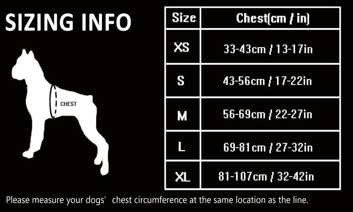 Premium Blue Adventurer 3M Reflective No Pull Dog Harness Size L