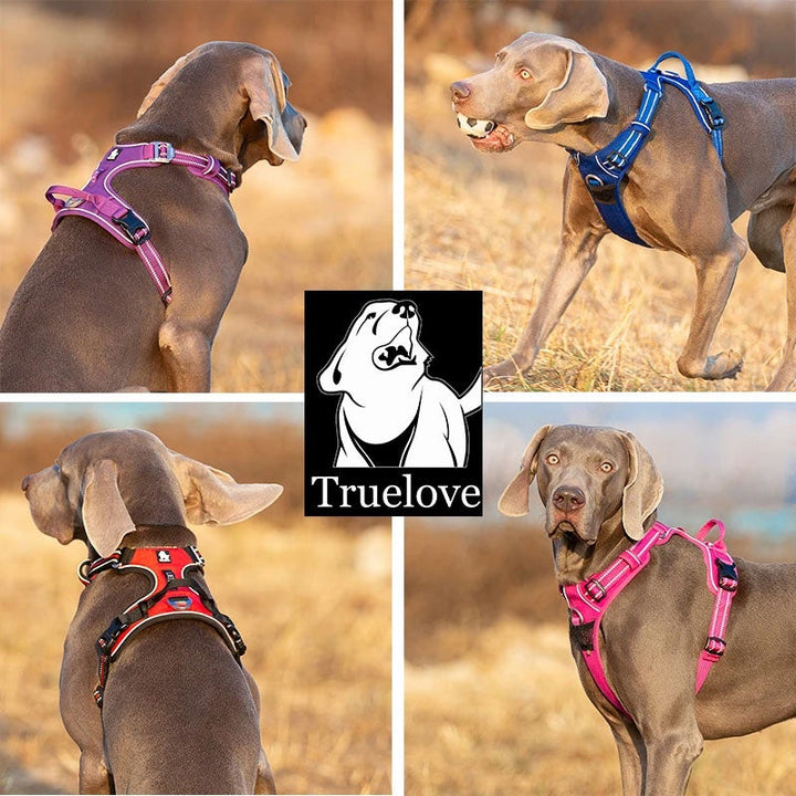 Premium Blue Adventurer 3M Reflective No Pull Dog Harness Size L
