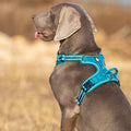 Premium Blue Adventurer 3M Reflective No Pull Dog Harness Size L