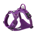 Premium Purple Adventurer 3M Reflective No Pull Dog Harness Size M
