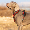 Premium Red Adventurer 3M Reflective No Pull Dog Harness Size S