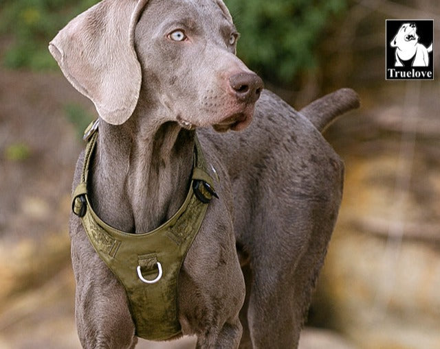 Premium Army Green Lightweight Tactical Dog Harness Size M