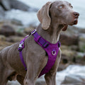 Premium Purple Lightweight Tactical Dog Harness Size XS