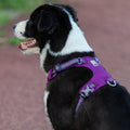 Premium Purple Lightweight 3M Reflective No Pull Dog Harness Size L