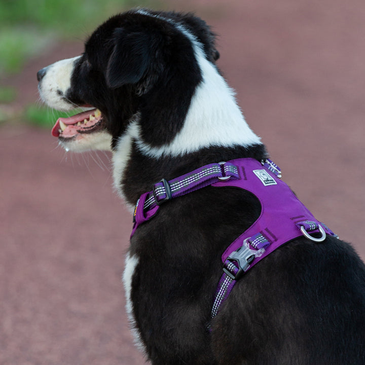 Premium Purple Lightweight 3M Reflective No Pull Dog Harness Size S