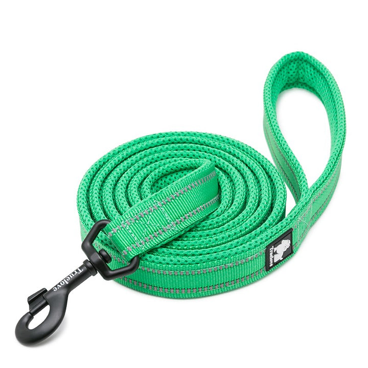 Nylon Reflective Dog Lead 2m Green L with 3M Reflectors and Soft Padding