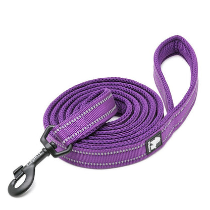 Nylon Reflective Dog Lead 2m Purple XS with Soft Mesh Padding and Durable Hook