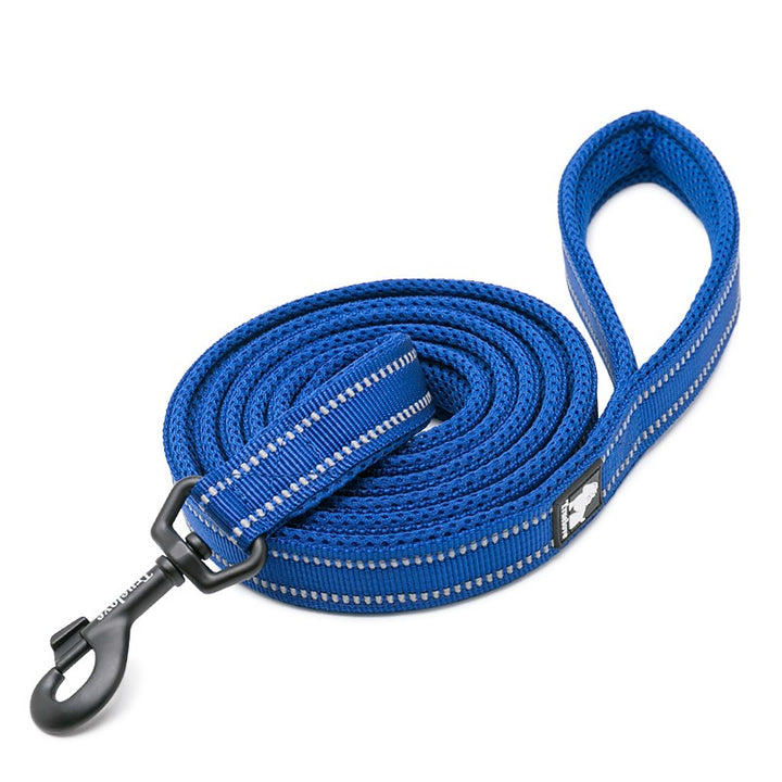 Nylon Reflective Dog Lead 2m Royal Blue XS with Soft Mesh Padding