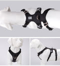 Whinhyepet Escape Proof Dog Harness Black XL