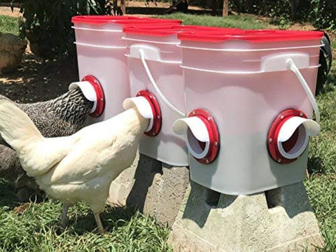 Cheeky Chooka DIY Poultry Feeder Port 4pk - Rain Proof, No-Waste, Blue - SuperSaverAU - view 2