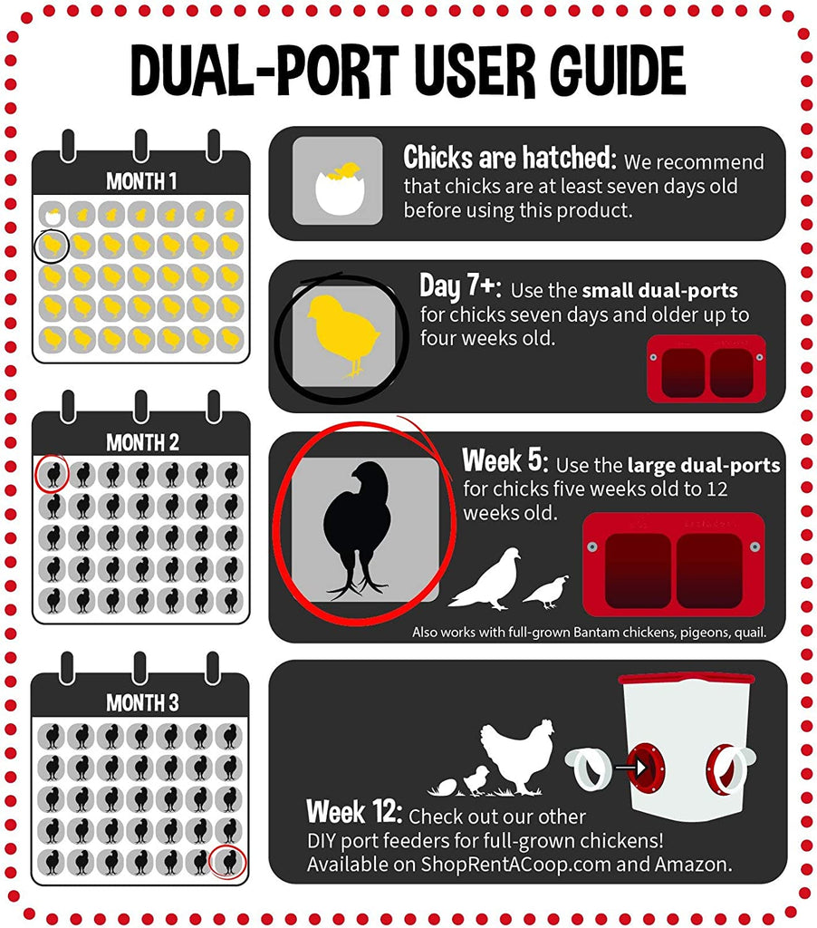 Cheeky Chooka Dual Chick Feeder Port Kit - Large & Small Ports, No-Mess Design - SuperSaverAU - view 3