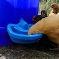 Maxi-Cup Automatic Poultry Waterer Cups 0.5L Each - 2 Pack