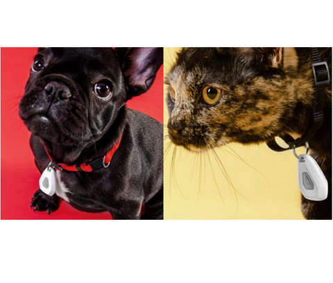 Mitey Tick Off Electronic Tick Repeller for Medium to Large Dogs, 6+ Months Safe