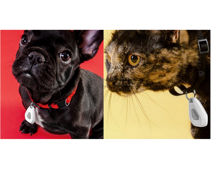 Mitey Tick Off Electronic Tick Repeller for Medium to Large Dogs, 6+ Months Safe