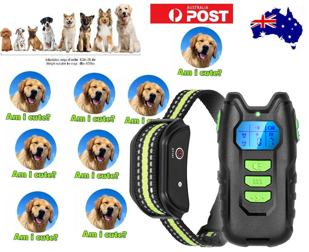 Electric Pet Dog Training Collar, Rechargeable, 1000m Range, IP67 Waterproof, 4lbs-100lbs