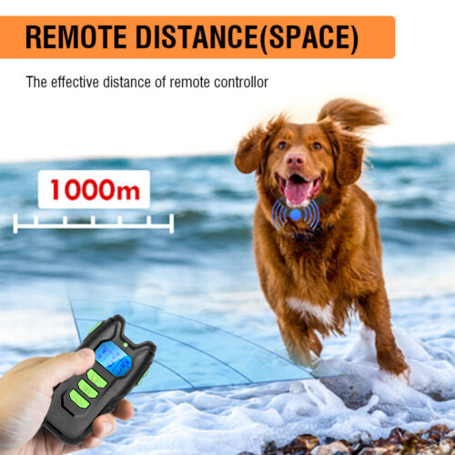 Electric Pet Dog Training Collar, Rechargeable, 1000m Range, IP67 Waterproof, 4lbs-100lbs