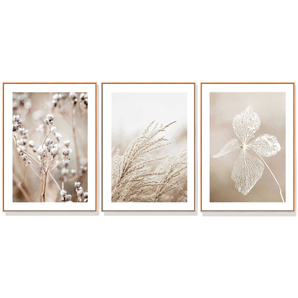 Dried Flower Canvas Wall Art 50cmx70cm, Framed, Handcrafted in Melbourne