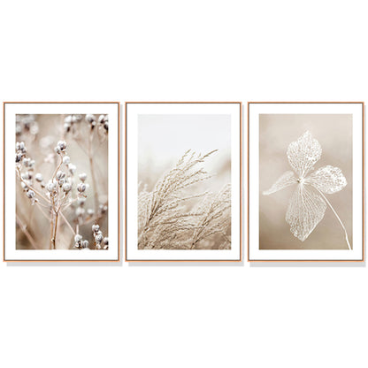 Dried Flower Canvas Wall Art 50cmx70cm, Framed, Handcrafted in Melbourne