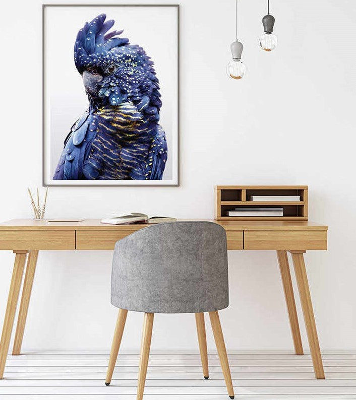 Premium Black Cockatoo Canvas Wall Art with Black Frame - 60 x 90cm