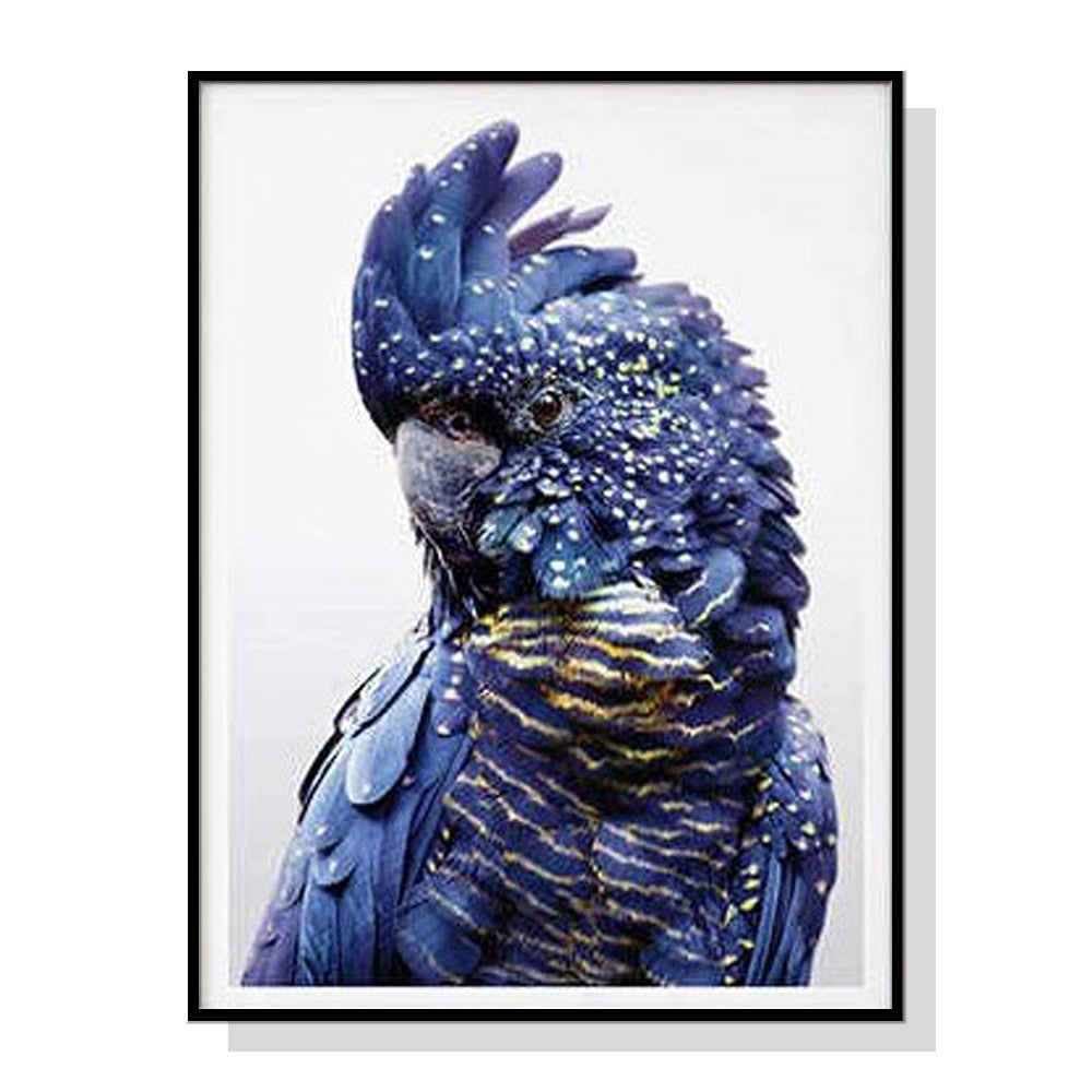 Premium Black Cockatoo Canvas Wall Art with Black Frame - 60 x 90cm