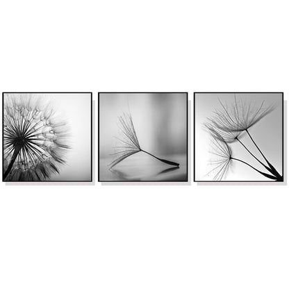 Botanical Dandelions Wall Art 50cmx50cm Canvas Framed 3 Sets Black Frame