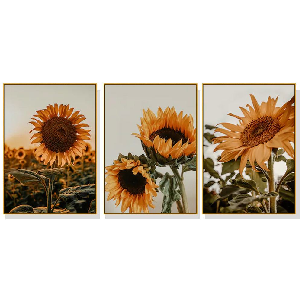 Sunflower Wall Art 70cmx100cm Canvas Framed, Hand Framed in Melbourne