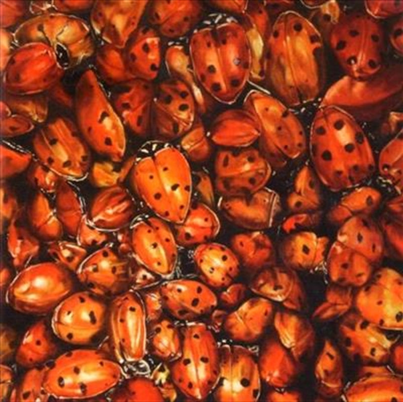 Tonights Cd Album - Rock/Pop Music Collection