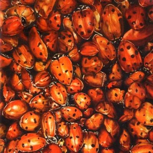 Tonights Cd Album - Rock/Pop Music Collection