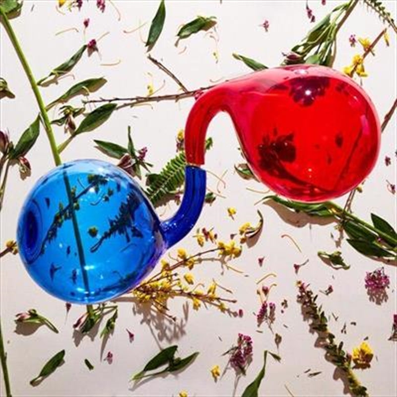 Dirty Projectors - Lamp Lit Prose CD Album - Alternative Music