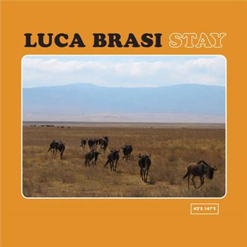 Stay - Luca Brasi Cd Album