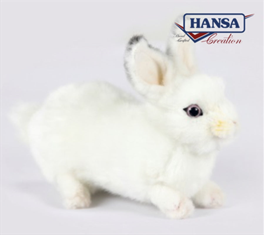 Rabbit 20cm Family Fun Toy - Perfect for All Ages