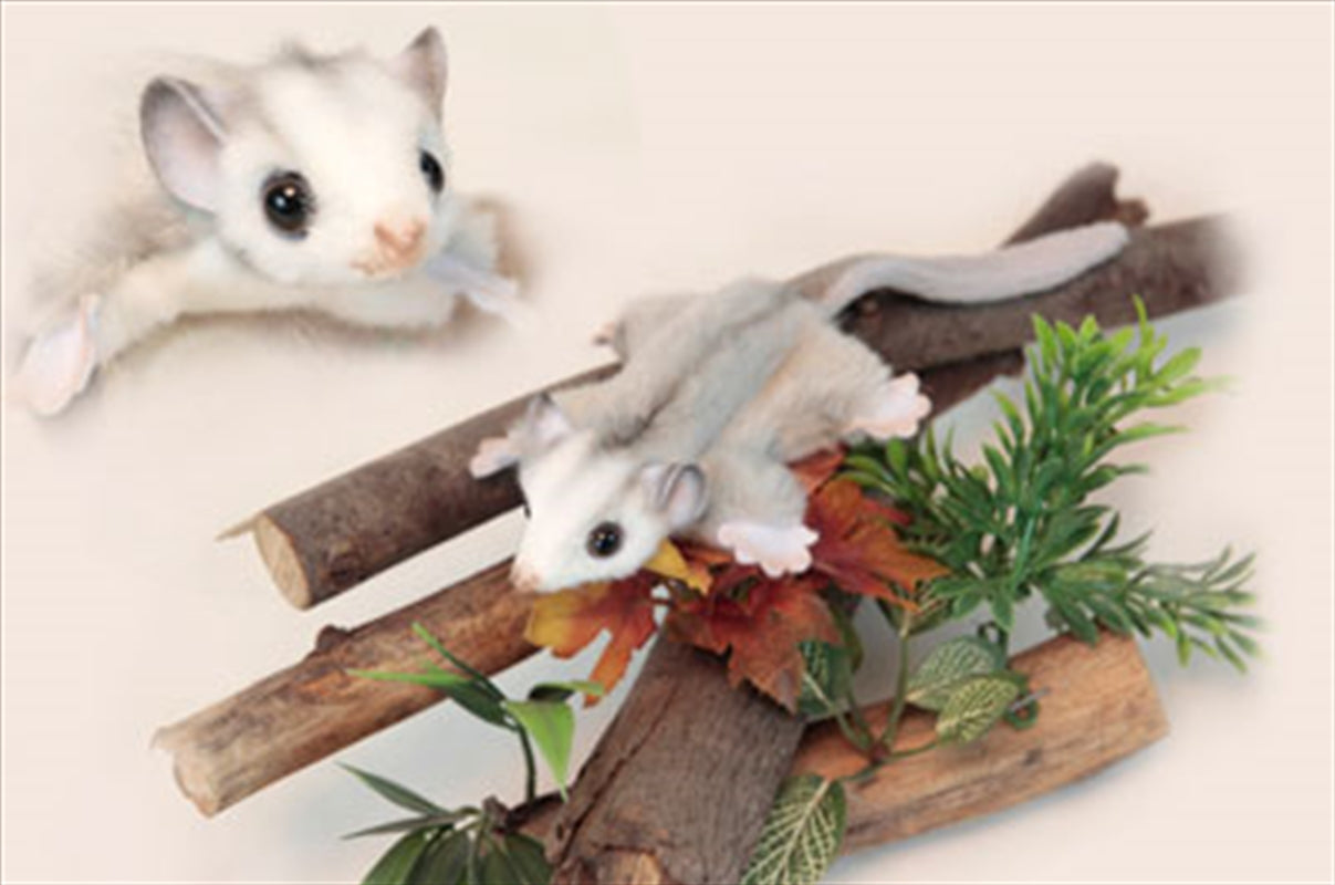 Feather Tail Glider 22cm L - Fun for All the Family