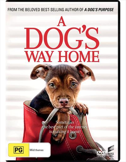 A Dog's Way Home DVD - Heartwarming Adventure of Bella, 400-Mile Journey