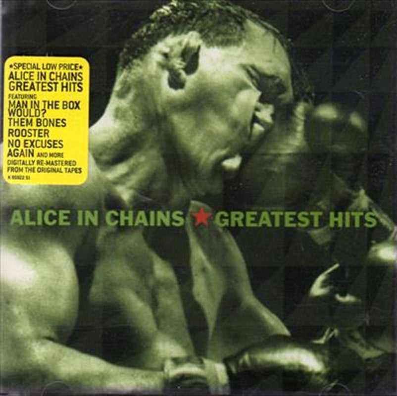 Greatest Hits: Gold Series - Alice In Chains Cd Album