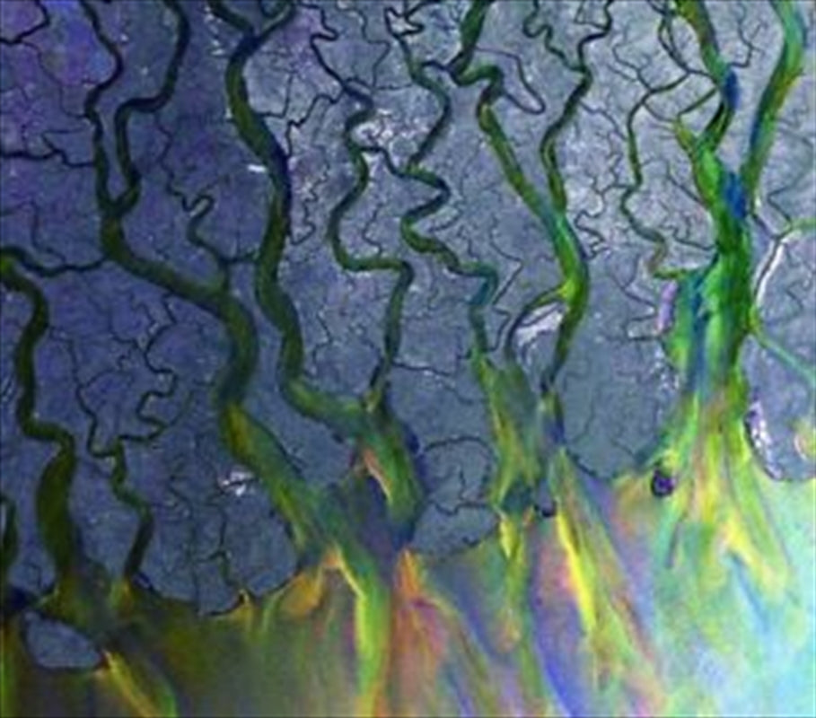 ALT J An Awesome Wave CD Album