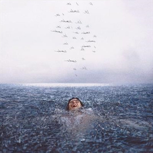 Shawn Mendes Wonder CD Album - Rock/Pop Music, Pop Genre