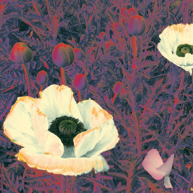 Green Pajamas Sunlight Might Weigh Even More CD Album - Rock/Pop Music