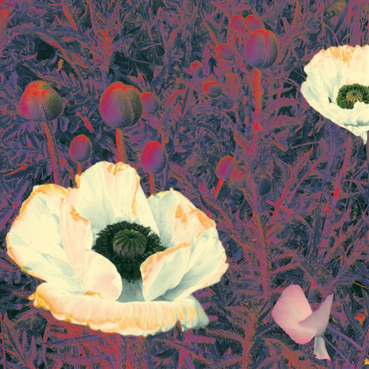 Green Pajamas Sunlight Might Weigh Even More CD Album - Rock/Pop Music