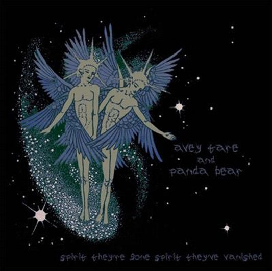 Animal Collective Spirit They’re Gone Spirit They CD Album - Alternative Music