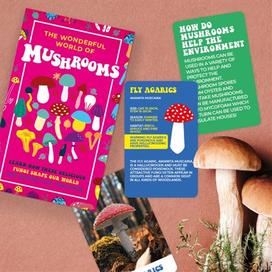 The Wonderful World Of Mushrooms - 2759664 - Learn About Fungi's Role & Taste