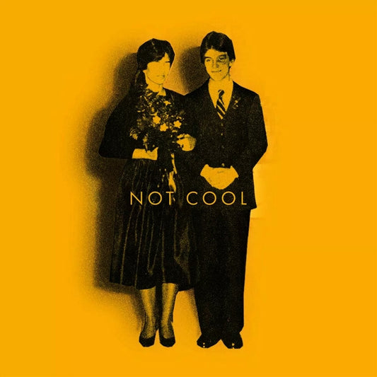 Tim Easton - Not Cool Cd Album