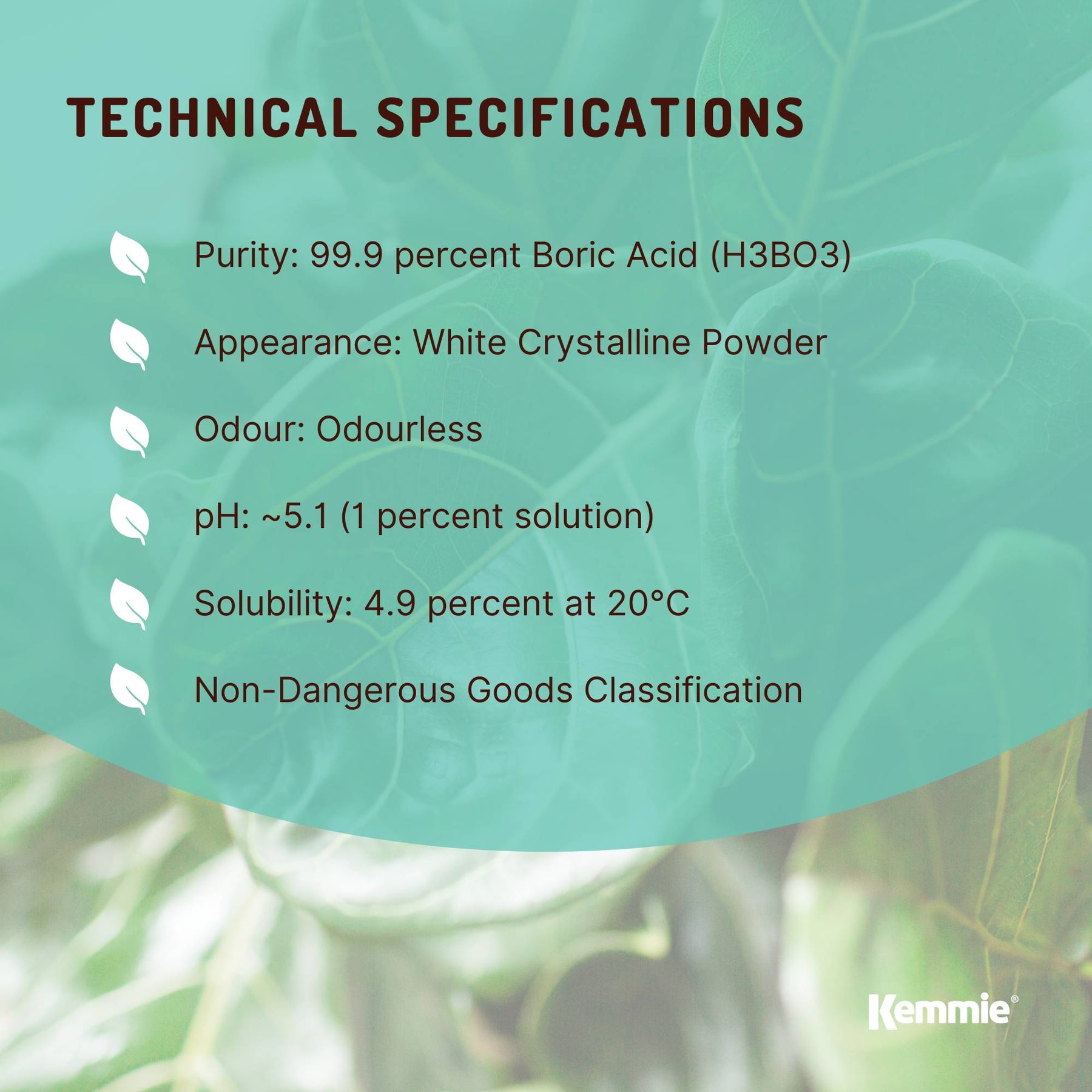 Boric Acid Powder 100g - 99.9% H3BO3, Fully Soluble, Pest Control for Ants & Cockroaches - SuperSaverAU - view 5