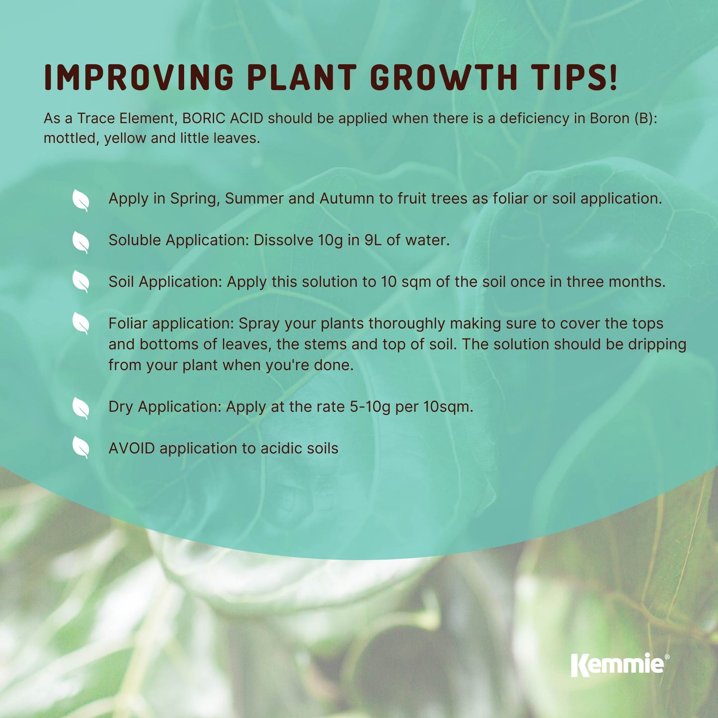 Boric Acid Powder 400g - High Purity, Fully Soluble, Pest Control for Ants & Cockroaches