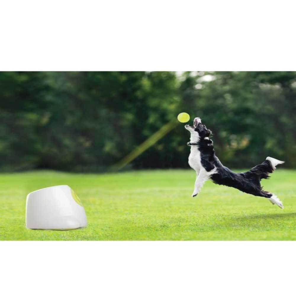 All For Paws Hyper Fetch Dog Toy Maxi - Automatic Ball Launcher, 3 Tennis Balls, Rechargeable - SuperSaverAU - view 9