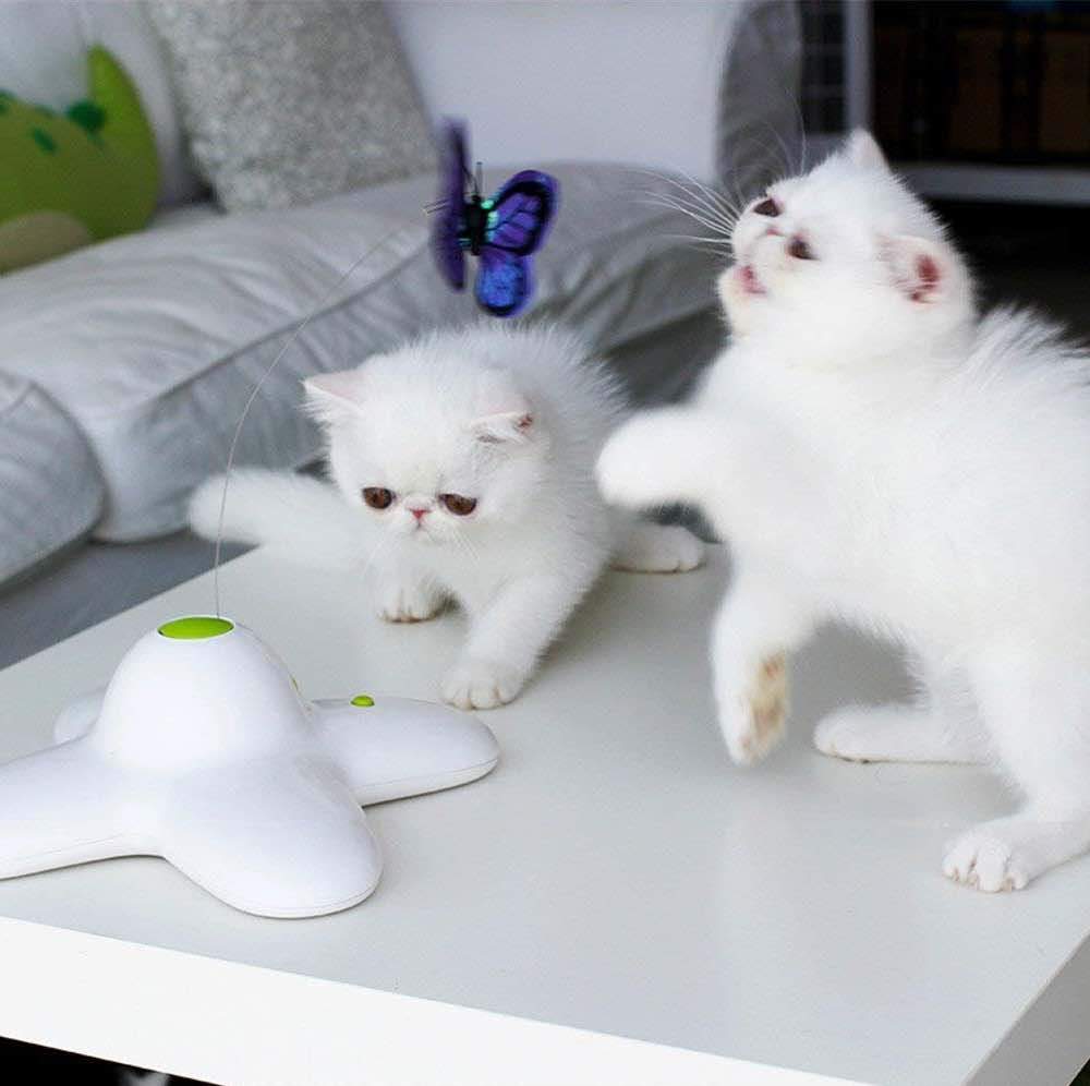 AFP Flutter Bug Butterfly Cat Toy - Interactive Teaser, 25cm x 25cm x 8cm