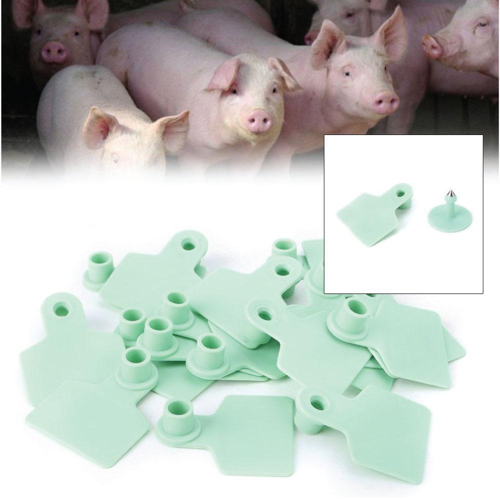 Premium Green Blank Cattle Ear Tags with Pins - Medium, 100pcs